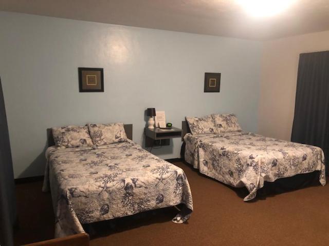 Cindy'S Motel & Rv Park Mayo Extérieur photo